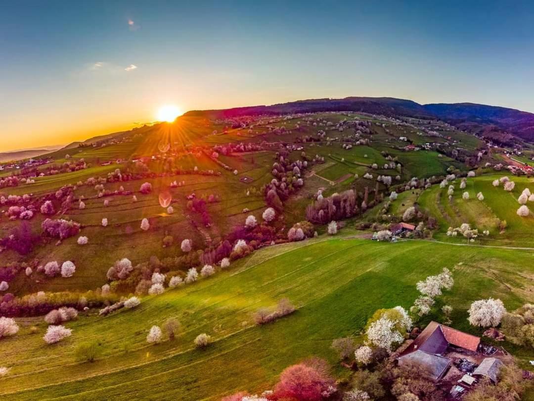 Penzion** Amalka Hrinova Экстерьер фото